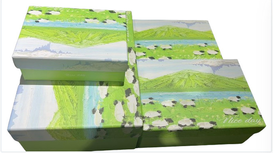 Hình dáng đẹp Flip Top Box quà tặng tùy chỉnh cứng cardstock thiết kế thanh lịch